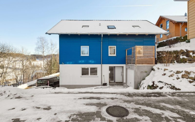 Modernes Mehrfamilienhaus mit Einliegerwohnung in traumhafter Natur in Schönwald im Schwarzwald-3